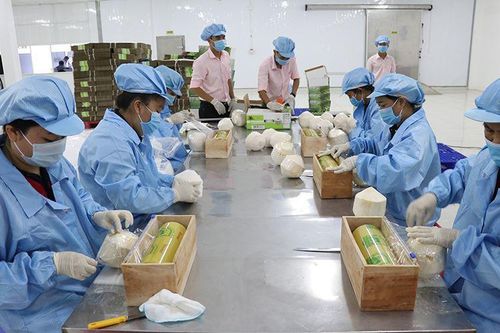 Xuất khẩu nông sản sang EU: nâng chất lượng để giảm rủi ro