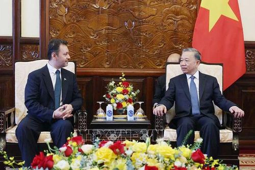 Chủ tịch nước Tô Lâm tiếp các đại sứ đến trình Quốc thư