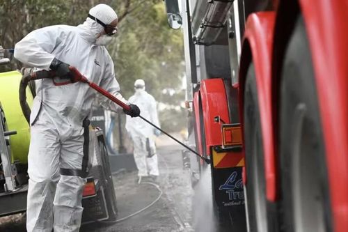 Australia kích hoạt chiến dịch ứng phó khẩn cấp virus cúm gia cầm độc lực cao