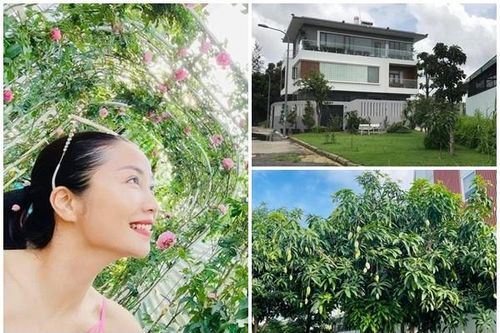 Bên trong biệt thự như resort của Ốc Thanh Vân tại Việt Nam