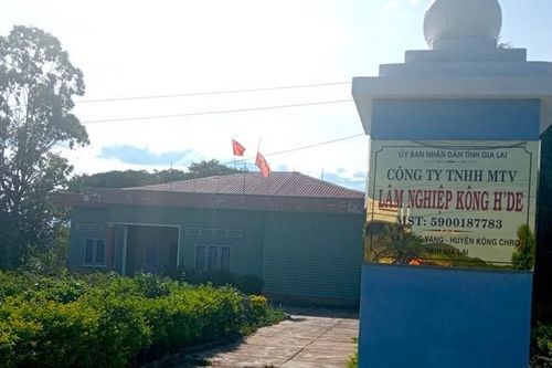 Chuyển hồ sơ sai phạm Công ty Kông H'de sang cơ quan điều tra