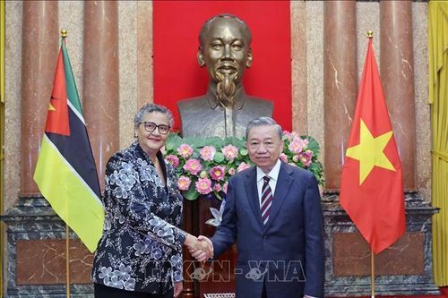 Chủ tịch nước Tô Lâm tiếp Đại sứ các nước trình Quốc thư