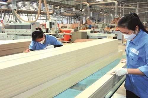 Gỗ An Cường (ACG) sắp chi 120 tỷ trả cổ tức