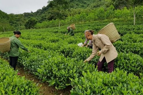 Cần thu hút mọi nguồn lực đầu tư vào vùng núi, khu vực nghèo nhất cả nước