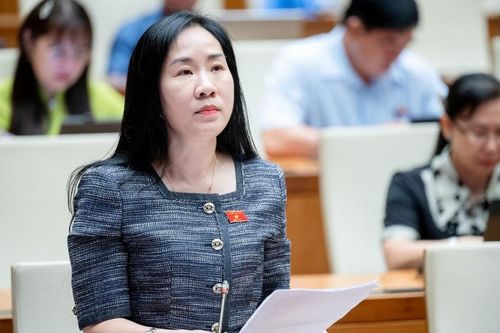 Đại biểu quốc hội bàn chuyện xây trung tâm văn hóa Việt Nam ở nước ngoài