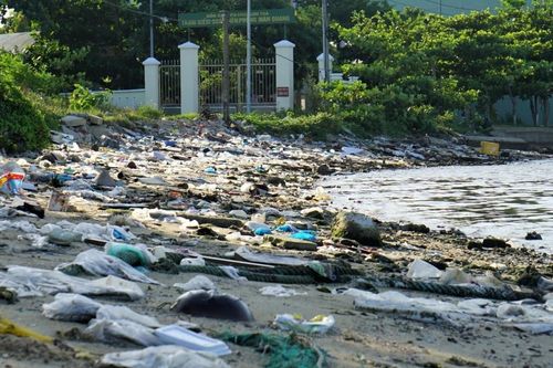 Rác thải, xà bần bủa vây vịnh ở Đà Nẵng