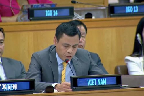 Việt Nam thực hiện nhiều biện pháp đấu tranh chống buôn bán vũ khí bất hợp pháp