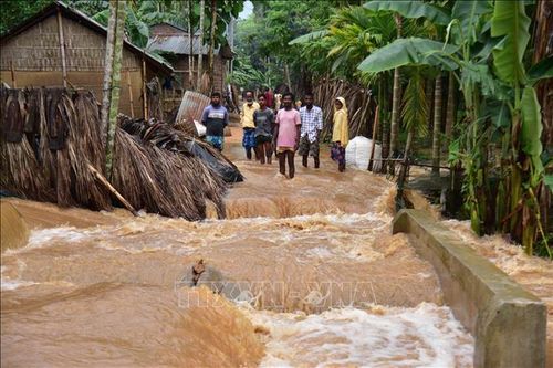 Mưa lũ gây thiệt hại nặng nề tại Ấn Độ và Bangladesh