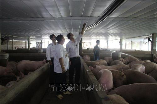 Áp dụng biện pháp vệ sinh dịch tễ, kiểm dịch động, thực vật theo tiêu chuẩn quốc tế