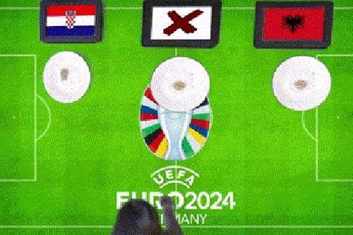 Mèo 'tiên tri' Cass dự đoán bất ngờ về trận Croatia và Albania