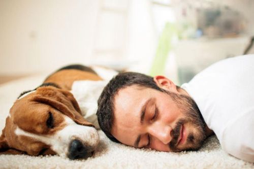 Ngủ trên sàn nhà tốt hay có hại cho sức khỏe?