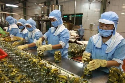 Xuất khẩu hàng hóa 6 tháng ước tăng 13,8%