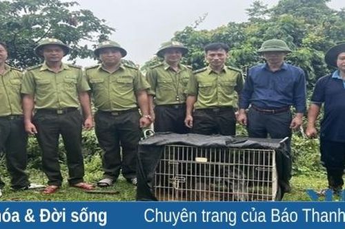 Khu Bảo tồn thiên nhiên Pù Hu tích cực cứu hộ, chăm sóc và bảo tồn động vật hoang dã