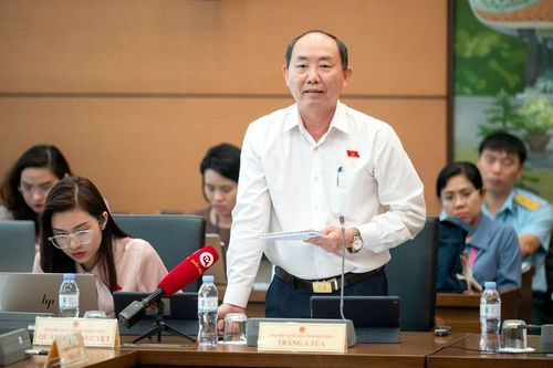Đại biểu Quốc hội tỉnh tham gia ý kiến vào dự thảo Luật Phòng cháy, chữa cháy và cứu nạn, cứu hộ
