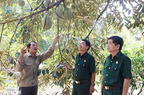 Những cựu chiến binh quyết tâm làm giàu