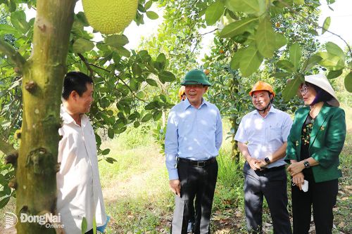 Lan tỏa, thấm sâu tinh thần học và làm theo Bác