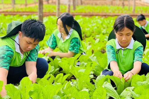 Trưởng thành từ Học kỳ trong quân đội