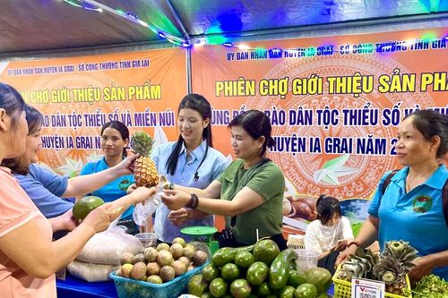 Kết nối tiêu thụ sản phẩm vùng đồng bào dân tộc thiểu số và miền núi