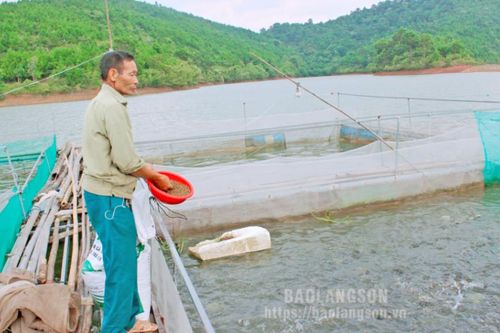 Bảo đảm an toàn nuôi trồng thủy sản trong mùa mưa bão
