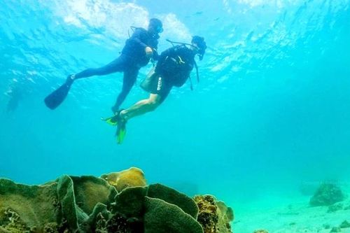 Du lịch lặn biển ngày càng hấp dẫn du khách