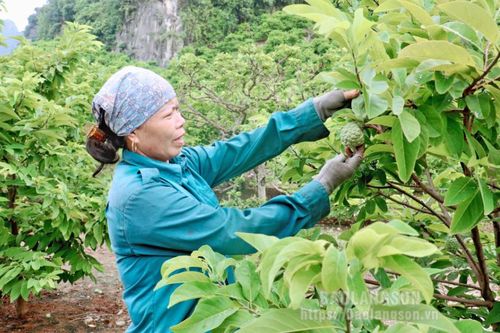 Đồng Tân: Phát triển đa dạng mô hình sản xuất nông nghiệp