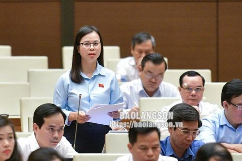 Kỳ họp thứ 7 Quốc hội khóa XV: Đại biểu góp ý kiến vào một số dự thảo luật và chủ trương đầu tư chương trình mục tiêu về phát triển văn hóa