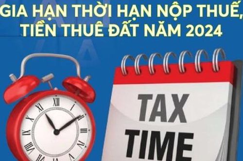 Đối tượng được gia hạn nộp thuế, tiền thuê đất năm 2024