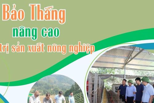 Bảo Thắng nâng cao giá trị sản xuất nông nghiệp