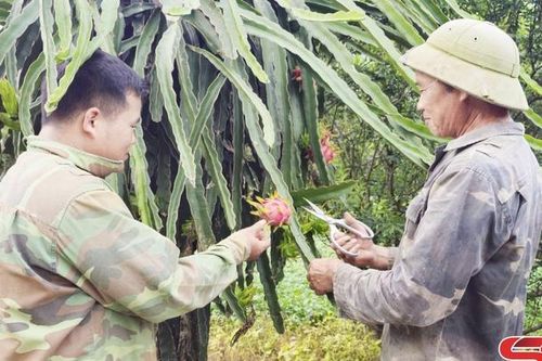 Phát huy vai trò người có uy tín trong đồng bào dân tộc thiểu số