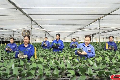 Đẩy mạnh nghiên cứu, ứng dụng khoa học và công nghệ