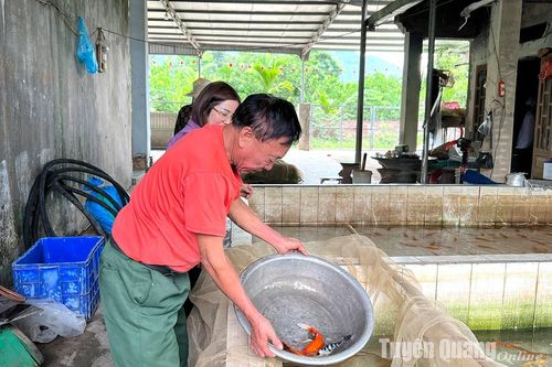 Nghề nuôi cá ở Hoàng Khai