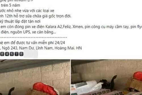 Pin chính hãng - 'Bùa hộ mệnh' của người dùng xe máy điện