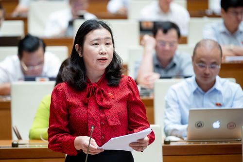 ĐBQH tranh luận về đề xuất đầu tư trung tâm văn hóa ở nước ngoài