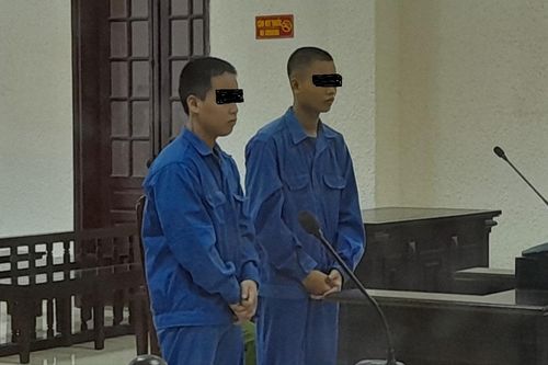 Vận chuyển thuê ma túy, hai đối tượng 'cưa' 34 năm tù