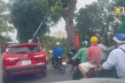 Cắt tỉa cây gây ùn tắc giao thông