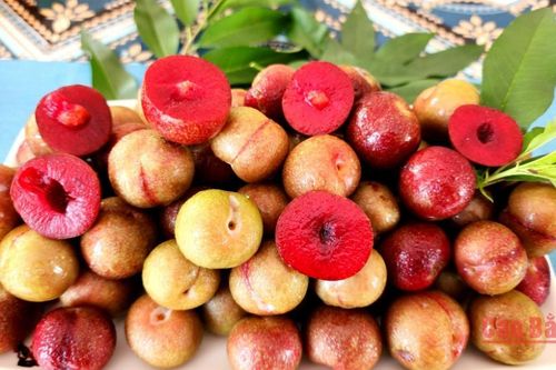 Ngọt thơm mận máu Phan Thanh
