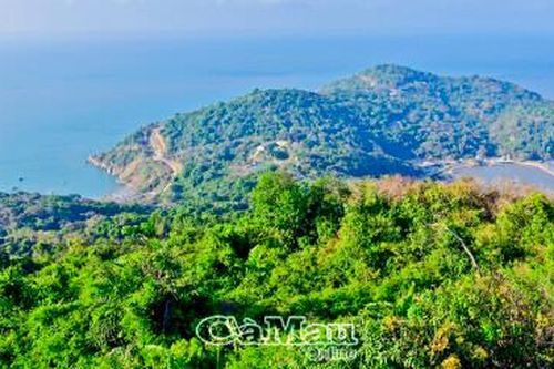Cà Mau thành lập khu bảo tồn biển rộng 27.000 ha