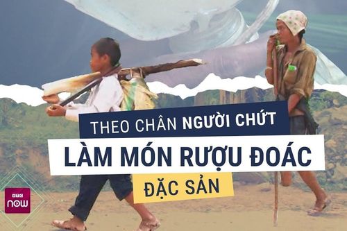 Kỳ lạ loại rượu duy nhất chảy ra từ thân cây