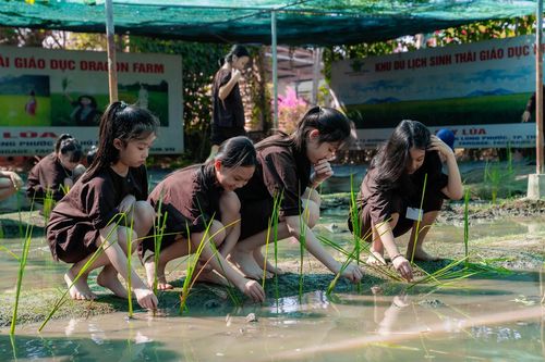 Lạc vào ma trận các khóa học hè, nhiều phụ huynh loay hoay sập bẫy