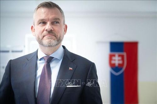 Chủ tịch nước Tô Lâm gửi điện chúc mừng Tổng thống Cộng hòa Slovakia