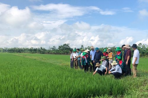 Thúc đẩy sản xuất theo hướng hữu cơ vùng trung du và miền núi
