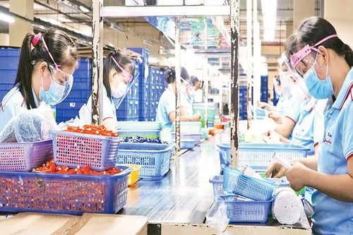 Hướng đi mới cho công nghiệp Thành phố Hồ Chí Minh