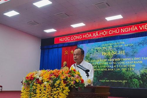 Các tỉnh Gia Lai, Bình Định, Phú Yên, Đăk Lăk phối hợp quản lý, bảo vệ rừng