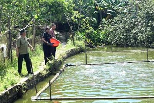 Thư về tòa soạn: Cựu chiến binh nỗ lực vượt khó