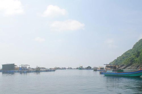 Cà Mau: Thành lập khu bảo tồn biển 27.000ha