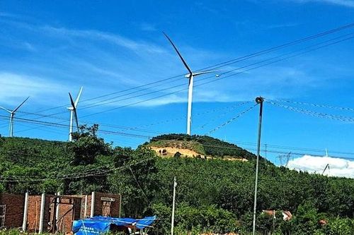 Đề nghị thanh tra toàn diện nhà máy điện gió vì mắc nhiều vi phạm