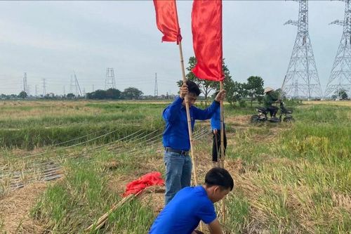 Phát động cuộc thi 'Dấu ấn 25 năm Chiến dịch thanh niên tình nguyện hè'