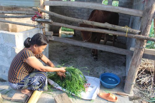 Huy động các nguồn lực giảm nghèo bền vững