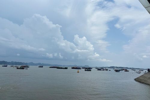 Chủ động ứng phó với vùng áp thấp có khả năng hình thành trên biển Đông và gió mạnh trên biển