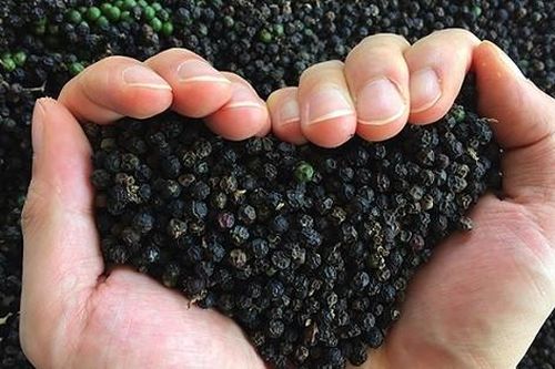 Giá 'vàng đen' vọt lên đỉnh lịch sử, Việt Nam còn bao nhiêu để xuất khẩu?